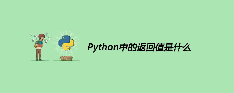 Python中的返回值是什么