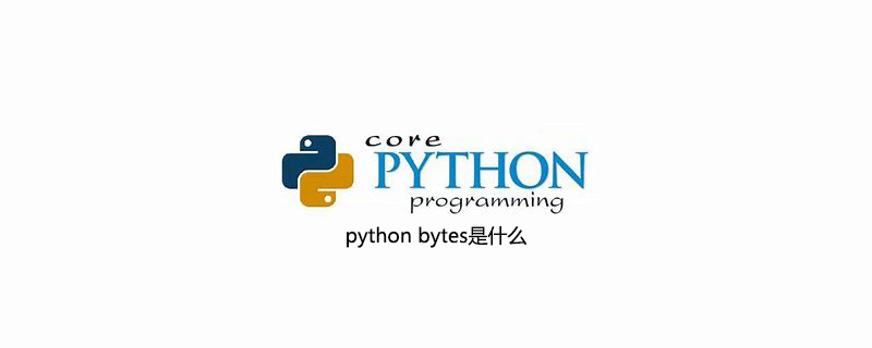python bytes是什么