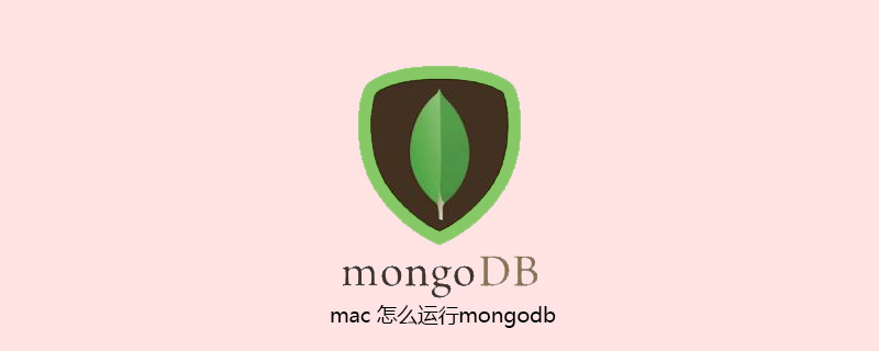 mac 怎么运行mongodb