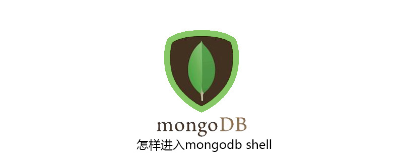 怎样进入mongodb shell