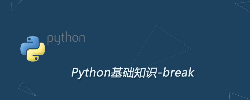 Python break用法详解