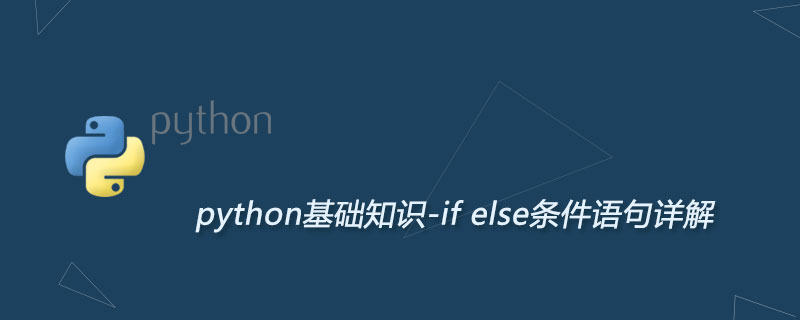 Python if else条件语句详解