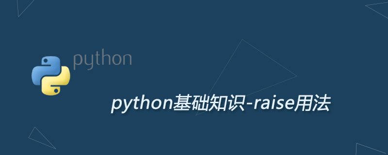 Python超级详细的raise用法