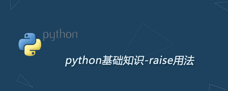 Python超级详细的raise用法 Python学习网