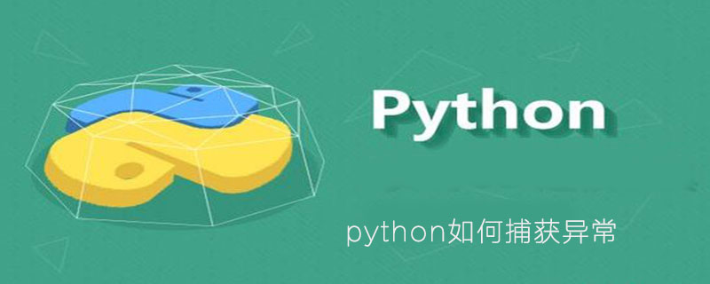 Python如何捕获异常 Python学习网