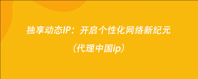 独享动态IP：开启个性化网络新纪元（代理中国ip