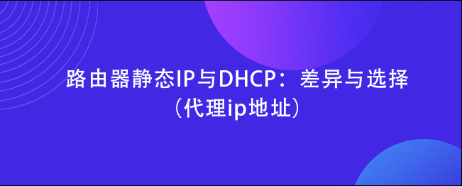 路由器静态IP与DHCP：差异与选择（代理ip地址）