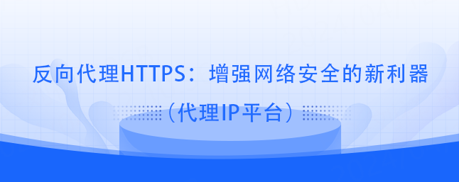 反向代理HTTPS：增强网络安全的新利器（代理IP平台）