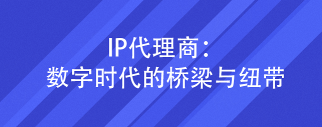 IP代理商：数字时代的桥梁与纽带（纯净IP）