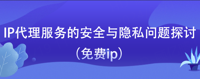 IP代理服务的安全与隐私问题探讨（免费ip）